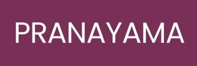 Pranayama, cours de yoga traditionnel à toulouse